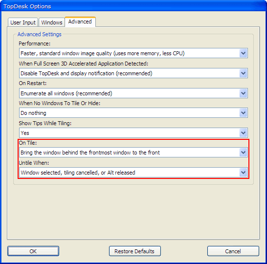 TopDesk Advanced Options Tab.