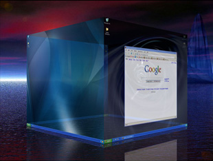 You can configure mouse and keyboard controls, display settings including animation and transparency, and more.